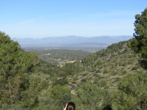 IMG_4411 (Medium)